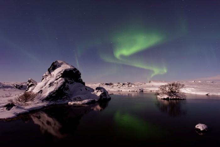 Nature curiosity: What are the northern lights?