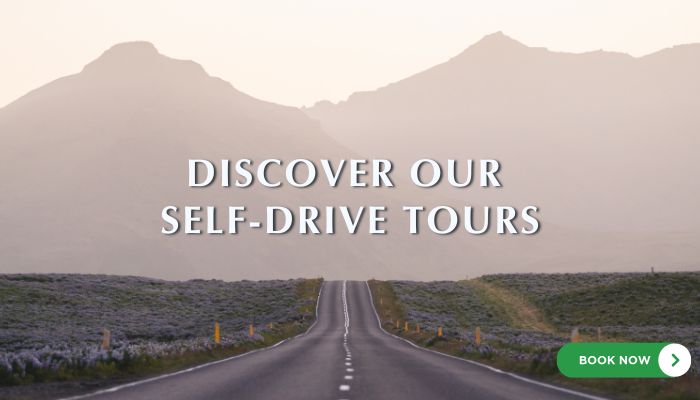 Discover Our Self-drive Tours